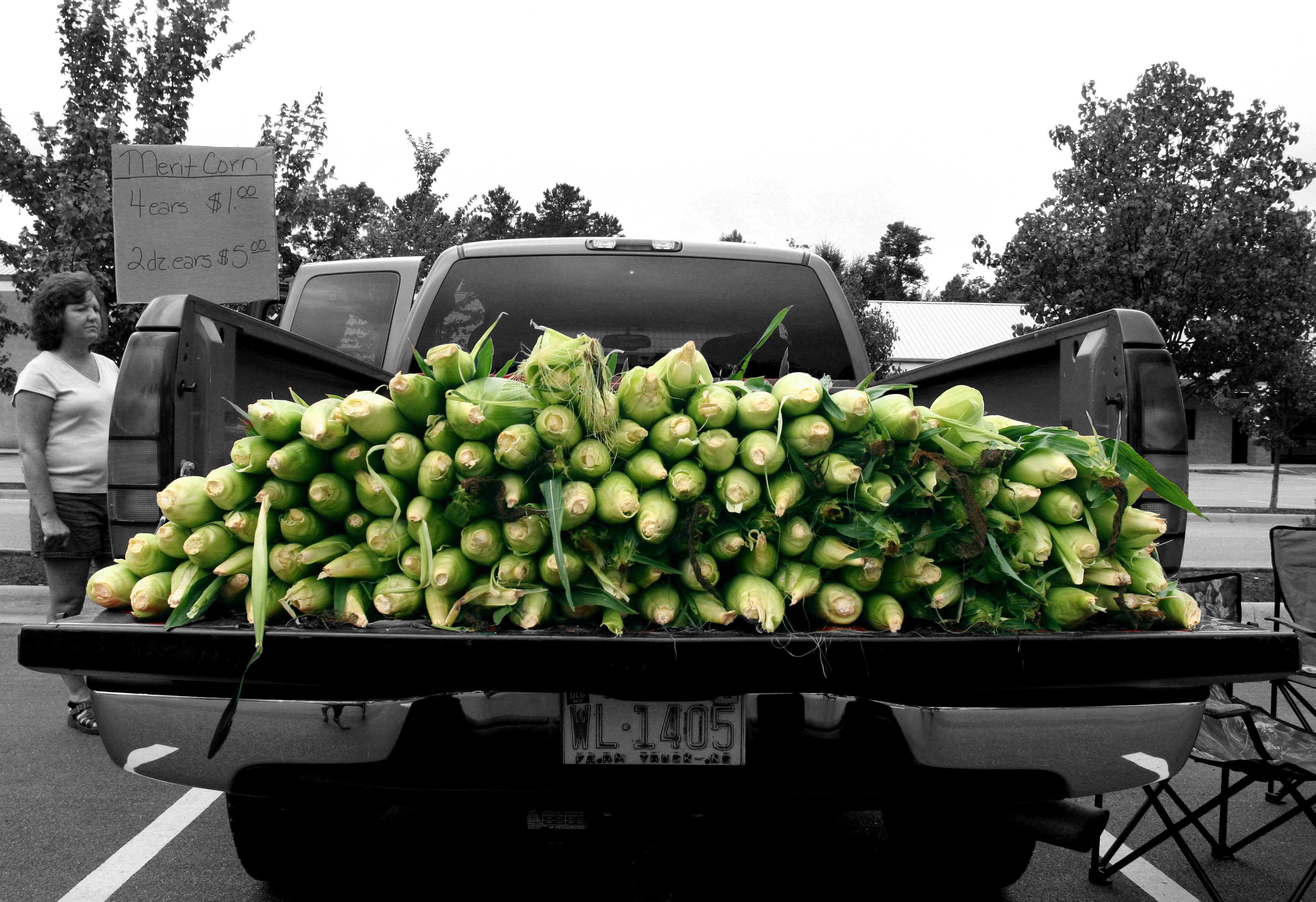 Fresh corn in the back of a truck